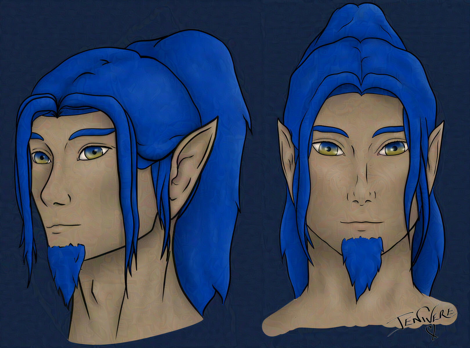 An elf-like original character with long blue hair tied into a ponytail. He has a short blue goatee beard and no moustache. His eyes are split colour blue in the top half and gold in the lower half.